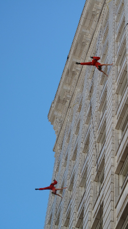 Aeriosa