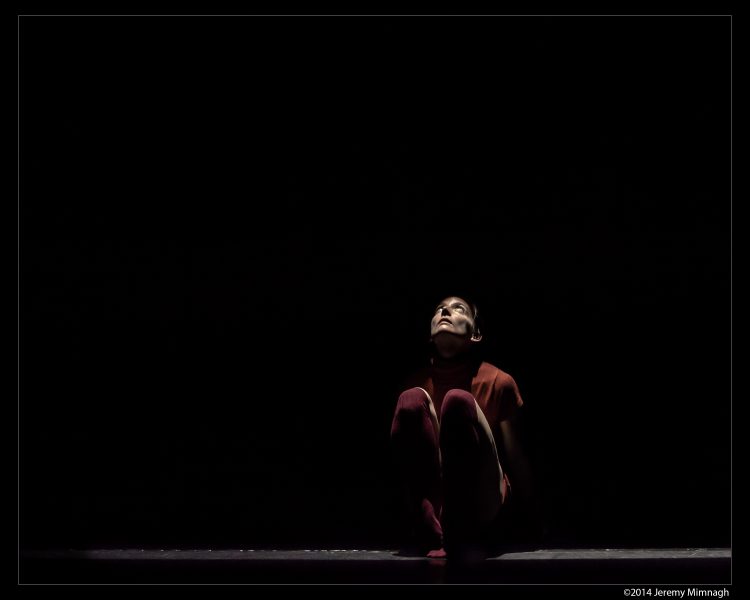 adelheid/Heidi Strauss